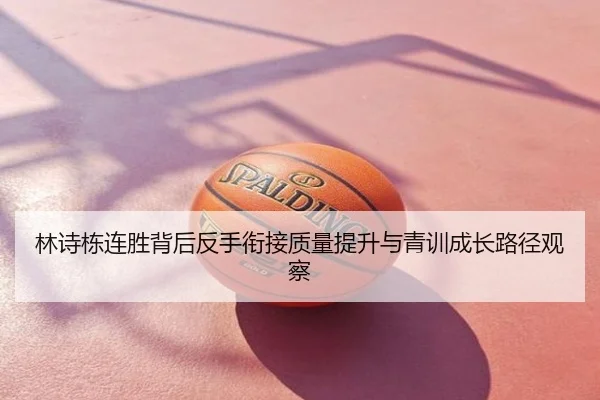 林诗栋连胜背后反手衔接质量提升与青训成长路径观察